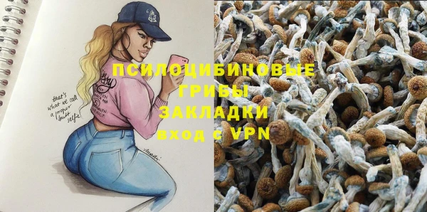 шишки Беломорск