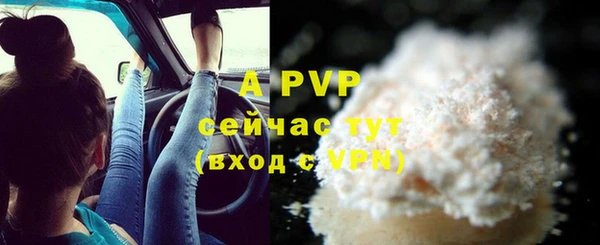 стаф Белокуриха