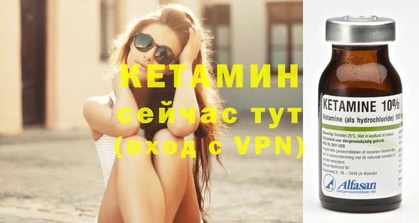 шишки Беломорск
