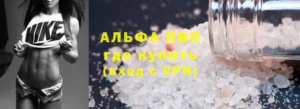 шишки Беломорск