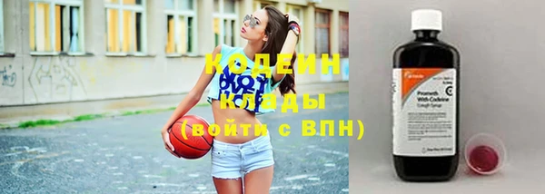 индика Богородск