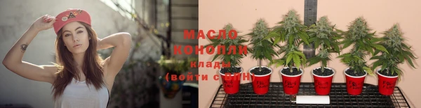 шишки Беломорск