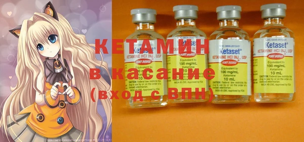 шишки Беломорск