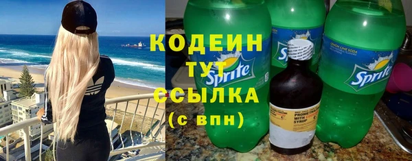 шишки Беломорск
