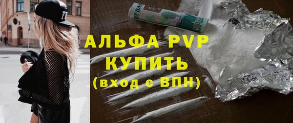 стаф Белокуриха